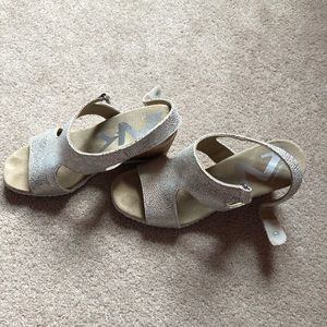 Silver Wedges